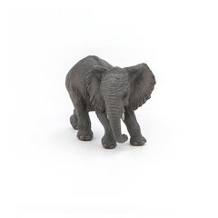 Figūrėlė Papo afrikinio dramblio jauniklis kaina ir informacija | Žaislai berniukams | pigu.lt