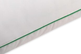 Bambuko pluošto pagalvė RL100 kaina ir informacija | Pagalvės | pigu.lt