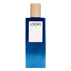Tualetinis vanduo Loewe EDT vyrams, 50 ml kaina ir informacija | Kvepalai vyrams | pigu.lt