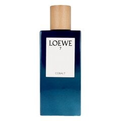 Мужская парфюмерия 7 Cobalt Loewe EDP (100 мл) цена и информация | Мужские духи | pigu.lt