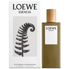 Tualetinis vanduo Loewe Essencia pour Homme EDT vyrams 50 ml kaina ir informacija | Loewe Kvepalai, kosmetika | pigu.lt