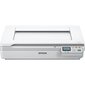 Epson RJ-45 kaina ir informacija | Skeneriai | pigu.lt