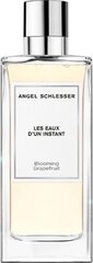 Женская парфюмерия Sensitive Grapefruit Angel Schlesser EDT (150 мл) цена и информация | Женские духи | pigu.lt