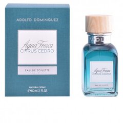 Tualetinis vanduo Adolfo Dominguez Agua Fresca Citrus Cedro EDT vyrams, 120ml kaina ir informacija | Kvepalai vyrams | pigu.lt