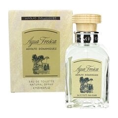 Мужская парфюмерия Agua Fresca Adolfo Dominguez EDT: Емкость - 120 мл цена и информация | Мужские духи | pigu.lt