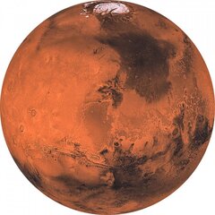 Фотообои Mars цена и информация | Фотообои с инструментом и клеем - Бежевые листья эвкалипта, 400x280 см | pigu.lt