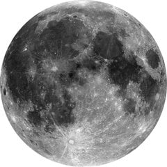Фотообои Moon цена и информация | Фотообои с инструментом и клеем - Бежевые листья эвкалипта, 400x280 см | pigu.lt