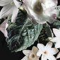 Fototapetas Enchanted Flowers kaina ir informacija | Fototapetai | pigu.lt