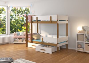 Dviaukštė lova ADRK Furniture Etiona 80x180cm, ruda/balta kaina ir informacija | Vaikiškos lovos | pigu.lt