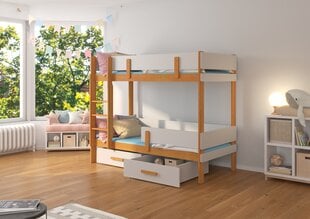 Двухъярусная кровать ADRK Furniture Etiona 80x180см, коричневая/серая цена и информация | Детские кровати | pigu.lt