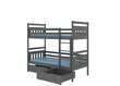 Dviaukštė lova ADRK Furniture Ada 90x200cm, pilka kaina ir informacija | Vaikiškos lovos | pigu.lt