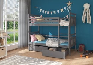 Кровать двухъярусная ADRK Furniture Ada 90x200 см, серая цена и информация | Детские кровати | pigu.lt