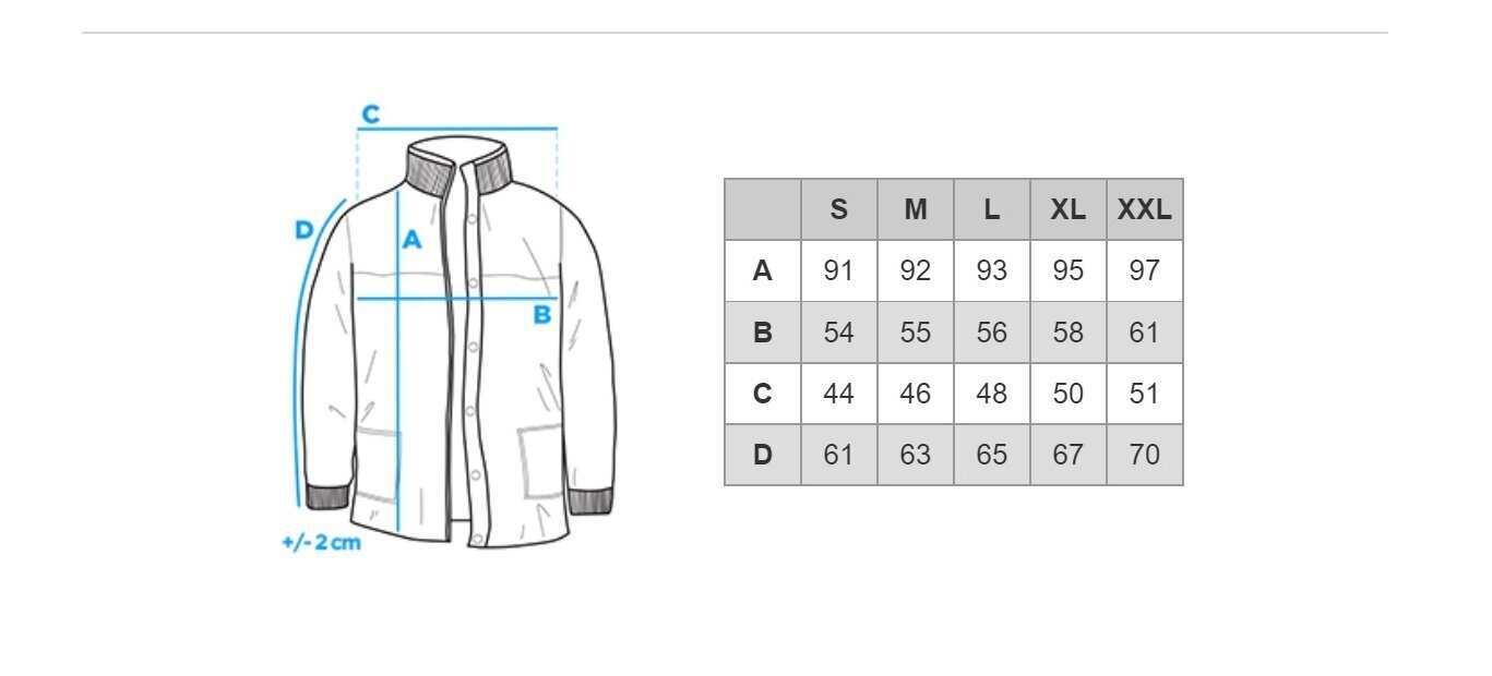 Vyriškas rudens paltas Premium Ombre C430, mėlynas цена и информация | Vyriški paltai  | pigu.lt
