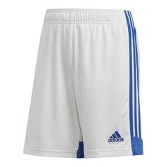 Спортивные шорты для мальчиков Adidas Tastigo 19 Jr FR0748, белые цена и информация | Шорты для мальчиков | pigu.lt