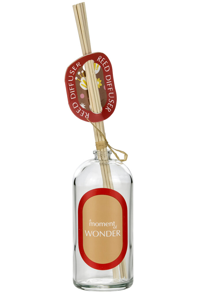 Namų kvapas su lazdelėmis A moment Of Wonder, 100 ml kaina ir informacija | Namų kvapai | pigu.lt