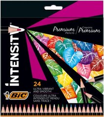 Цветные карандаши BIC Intensity, 24 шт. 967823 цена и информация | Принадлежности для рисования, лепки | pigu.lt