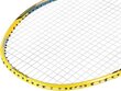 Badmintono raketė Nils Extreme NR419 kaina ir informacija | Badmintonas | pigu.lt