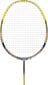 Badmintono raketė Nils Extreme NR419 kaina ir informacija | Badmintonas | pigu.lt