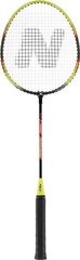 Badmintono rakečių rinkinys Nils Extreme NRZ204 kaina ir informacija | Badmintonas | pigu.lt