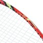 Greitojo badmintono rinkinys Nils Extreme NRS001, 2 raketės, skrajukai, dėklas kaina ir informacija | Badmintonas | pigu.lt