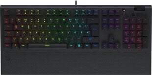 SPC Gear GK650K RGB kaina ir informacija | Klaviatūros | pigu.lt