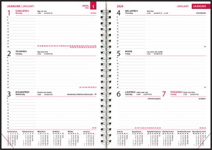 Boss nädal a5 horisontaal, plastkaaned (sinine) цена и информация | Календари, ежедневники | pigu.lt