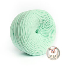 Трикотажная пряжа Juta, цвет Tiffany, 100 m цена и информация | Принадлежности для вязания крючком | pigu.lt