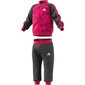 Kūdikio sportinis kostiumas Adidas I Bball Jog FT цена и информация | Kelnės mergaitėms | pigu.lt