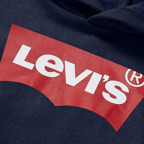 Džemperis su gobtuvu Levi's 9E8778 kaina ir informacija | Megztiniai, bluzonai, švarkai berniukams | pigu.lt