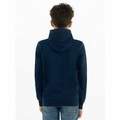 Džemperis vaikams Levi's Kint Top 9E8778, mėlynas цена и информация | Свитеры, жилетки, пиджаки для мальчиков | pigu.lt