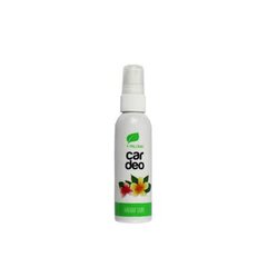 PALOMA CAR DEO SPRAY HAWAII SURF освежитель воздуха цена и информация | Освежители воздуха для салона | pigu.lt