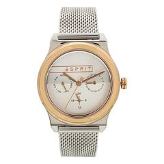 Moteriškas laikrodis Esprit ES1L077M0085 kaina ir informacija | Moteriški laikrodžiai | pigu.lt