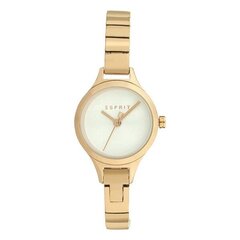 Moteriškas laikrodis Esprit ES1L055M0035 kaina ir informacija | Moteriški laikrodžiai | pigu.lt