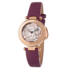 Laikrodis moterims Folli Follie WF15R009SP kaina ir informacija | Moteriški laikrodžiai | pigu.lt