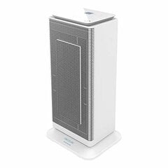 Обогреватель Cecotec Ready Warm 6400 Ceramic Sky Smart 2000 W цена и информация | Обогреватели | pigu.lt