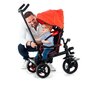 Triratis Urban Trike Basic Molto (99 cm) цена и информация | Triratukai | pigu.lt