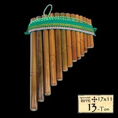 Кугиклы 13 звуков Terre Panpipe 13 цена и информация | Духовые инструменты | pigu.lt