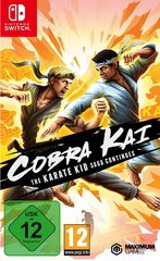 SWITCH Cobra Kai: The Karate Saga Continues цена и информация | Компьютерные игры | pigu.lt