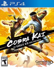 PS4 Cobra Kai: The Karate Saga Continues цена и информация | Компьютерные игры | pigu.lt