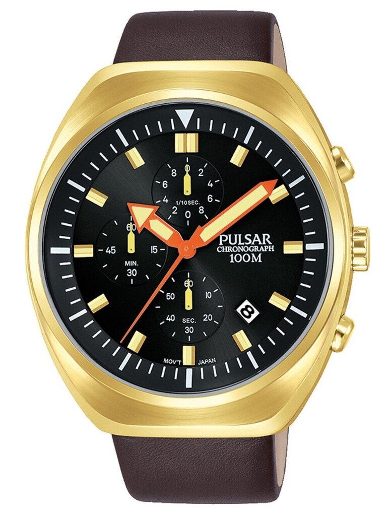 Vyriškas laikrodis Pulsar PM3094X1 kaina ir informacija | Vyriški laikrodžiai | pigu.lt