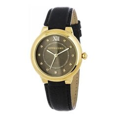 Женские часы Devota & Lomba DL006W-02 цена и информация | Женские часы | pigu.lt
