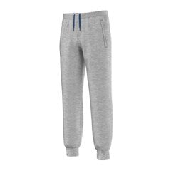 Брюки Adidas M Feelcozy Pant Grey HL2243 цена и информация | Мужские термобрюки, темно-синие, SMA61007 | pigu.lt