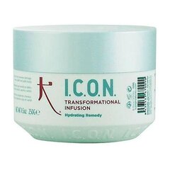 Plaukų kaukė I.c.o.n., 250 ml цена и информация | Средства для укрепления волос | pigu.lt