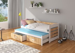 Кровать ADRK Furniture Tiarro, 80x180 см, коричневая/белая цена и информация | Детские кровати | pigu.lt
