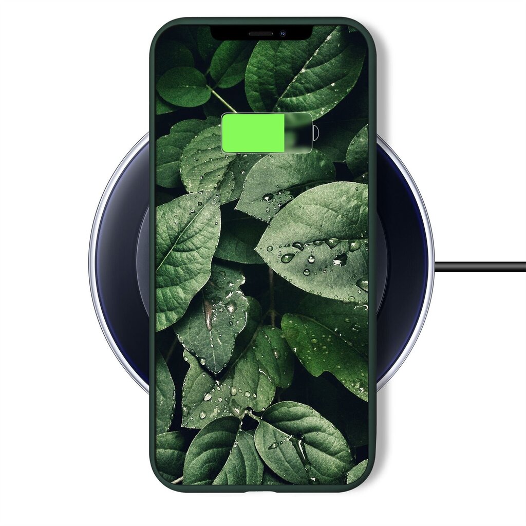 Moozy Minimalist dėklas, skirtas iPhone 11 Pro Max, tamsiai žalias kaina ir informacija | Telefono dėklai | pigu.lt