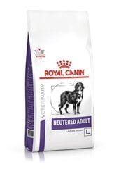 Сухой корм Royal Canin для собак крупных пород после стерилизации, склонных к полноте и с проблемами суставов Neutered Adult Large Dog, 13 кг цена и информация |  Сухой корм для собак | pigu.lt