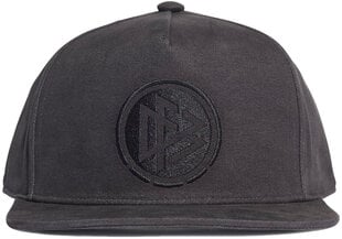 Kepurė vyrams Adidas dfb sb cap black FJ0820/OSFL kaina ir informacija | Vyriški šalikai, kepurės, pirštinės | pigu.lt