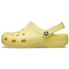 Женская обувь Crocs™ Classic 133250 цена и информация | Тапочки женские | pigu.lt