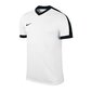 Marškinėliai vaikams Nike JR Striker IV Jr 725974-103, balti kaina ir informacija | Marškinėliai berniukams | pigu.lt