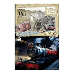 Головоломка Harry Potter Hogwarts Express Harry Potter Scratch Off, 500 деталей цена и информация | Пазлы | pigu.lt